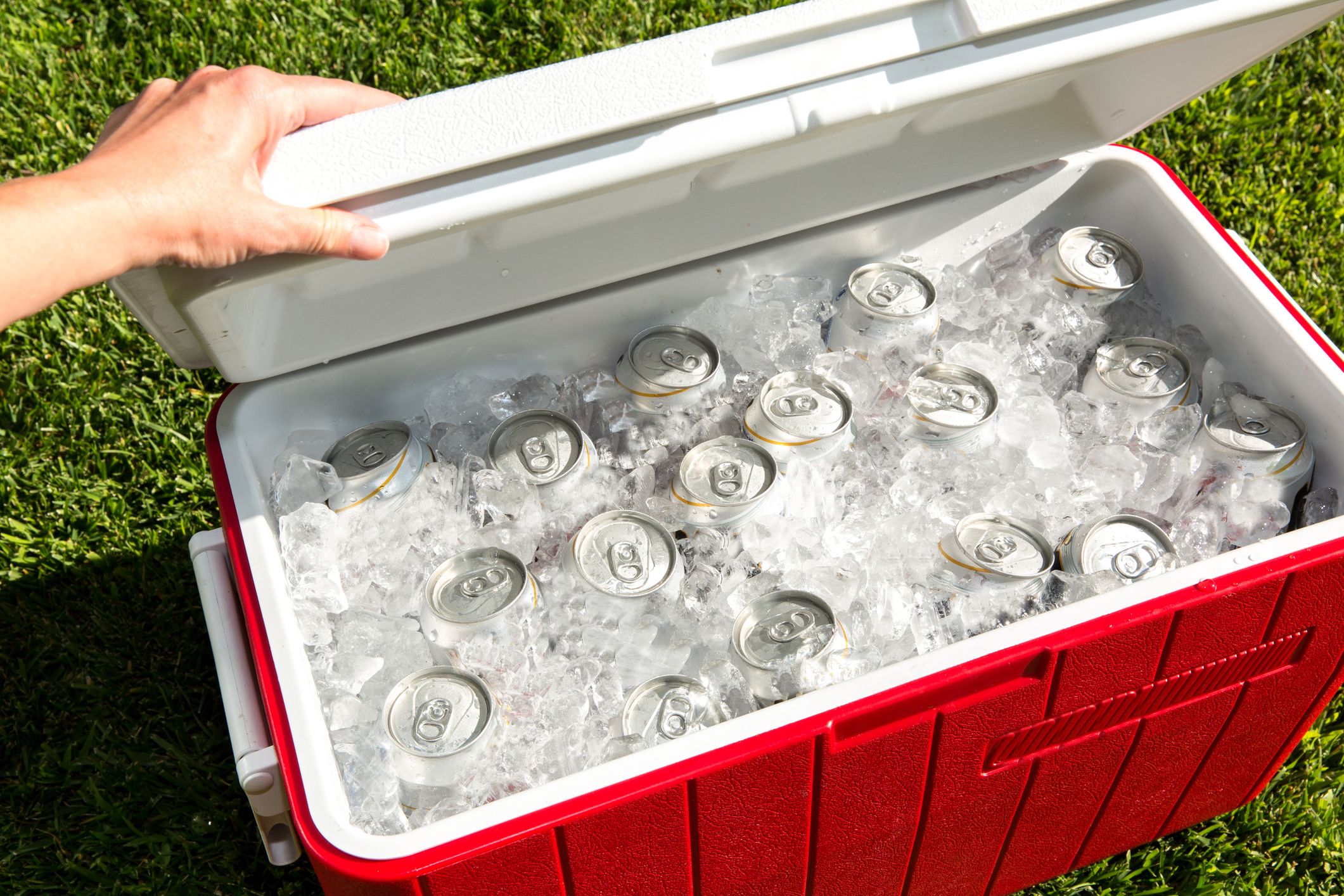 Cooler of ice and cold beverages